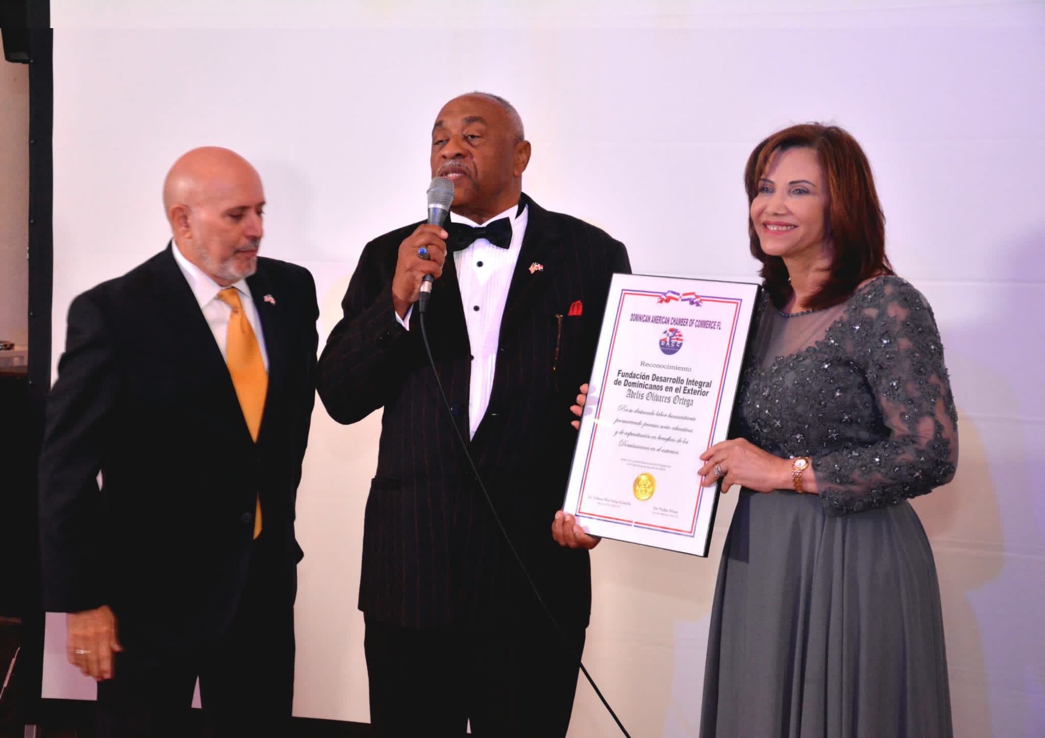 Adelys Olivares recibe reconocimientos por aporte social a dominicanos del exterior