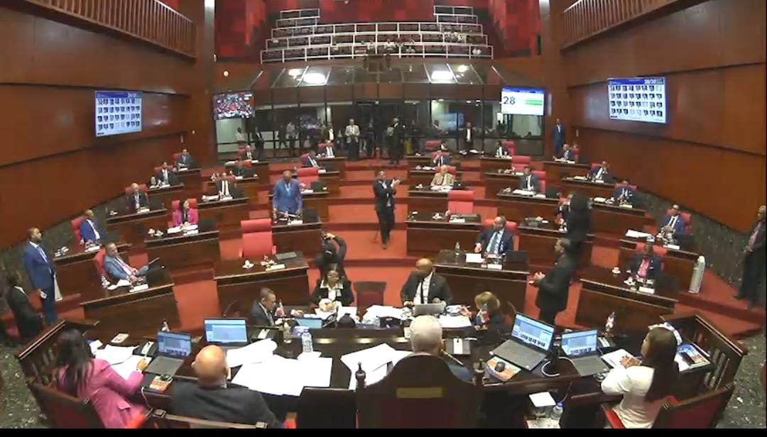 Proyecto de ley reforma constitucional fue enviada a comisión bicameral para su estudio