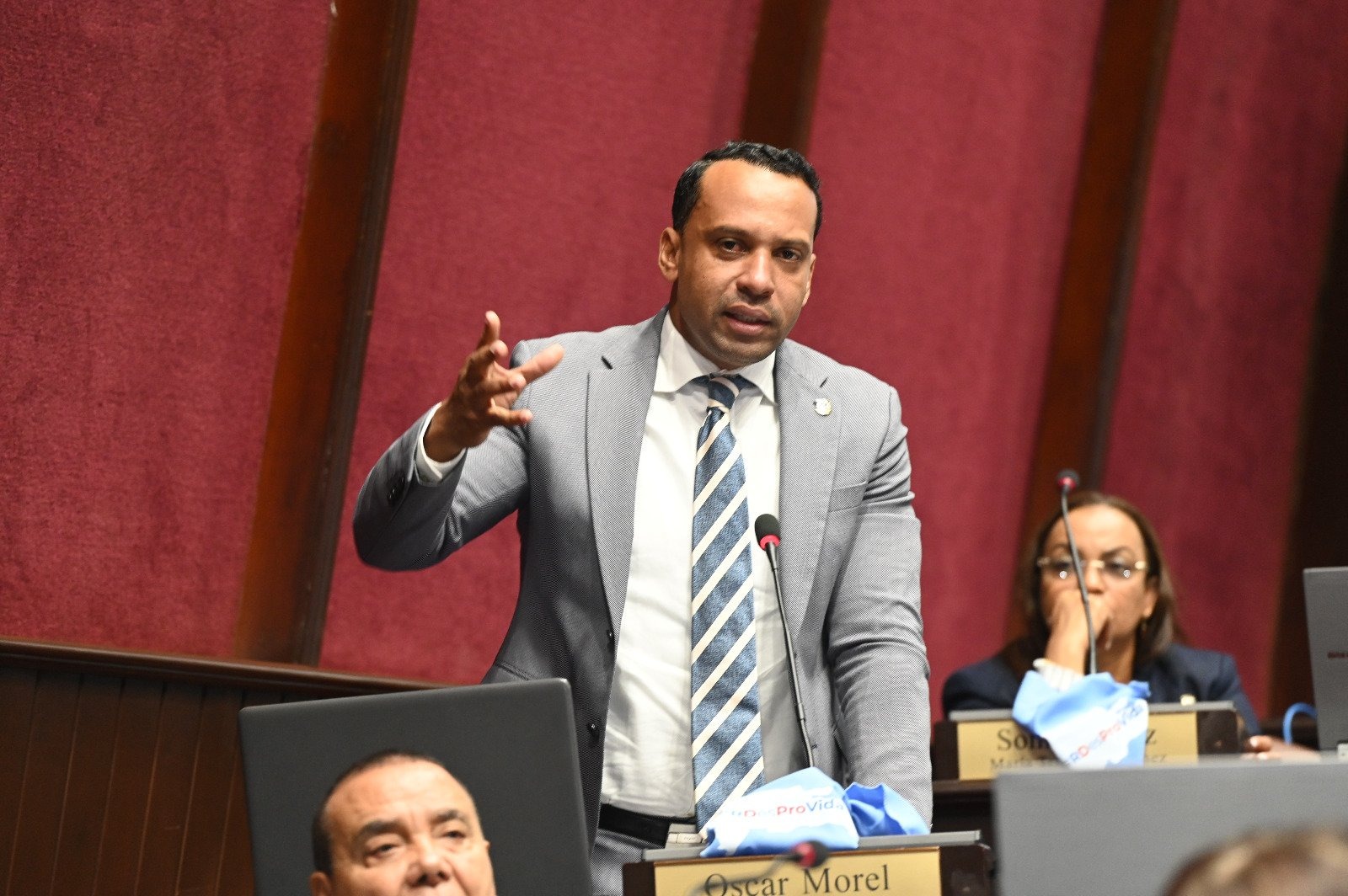 Diputado Oscar Morel advierte daños ocasionaría instalación de antena en zona de reproducción de ave Gavilán de la Española