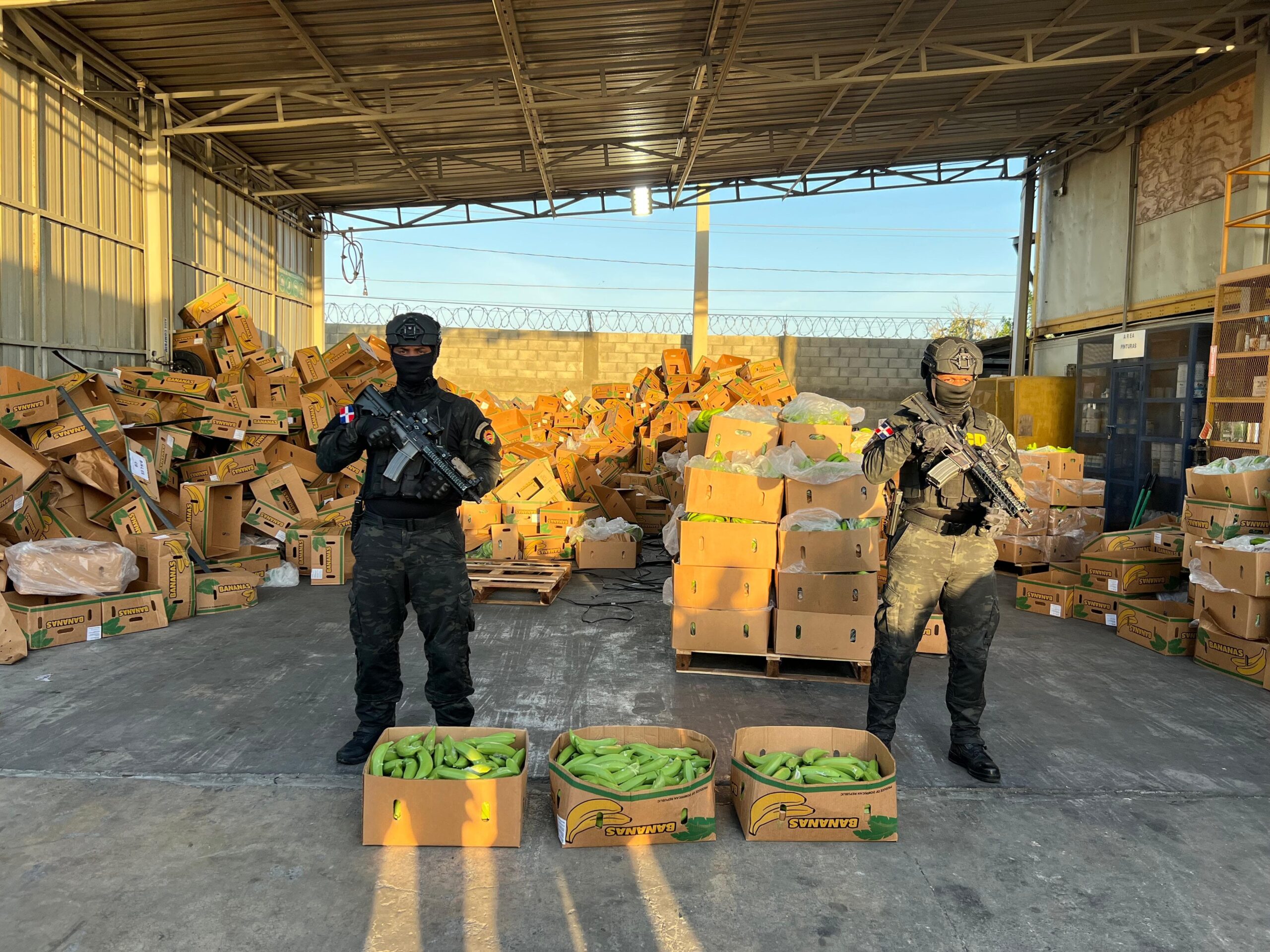 Incautan 303 guineos de cerámica llenos de cocaína en Manzanillo