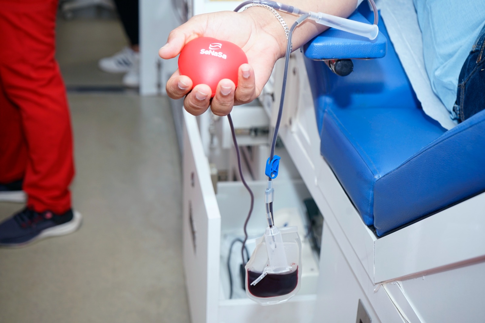 SeNaSa ofreció cobertura por sangre y sus derivados a más de cien mil afiliados SeNaSa ofreció cobertura por sangre y sus derivados a más de cien mil afiliados
