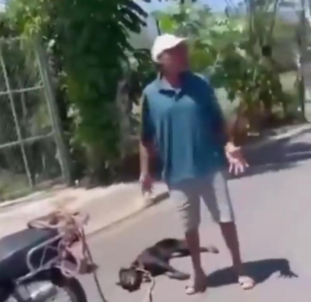 Ministerio Público y Dicrim arrestan hombre por cometer maltrato animal en Monseñor Nouel