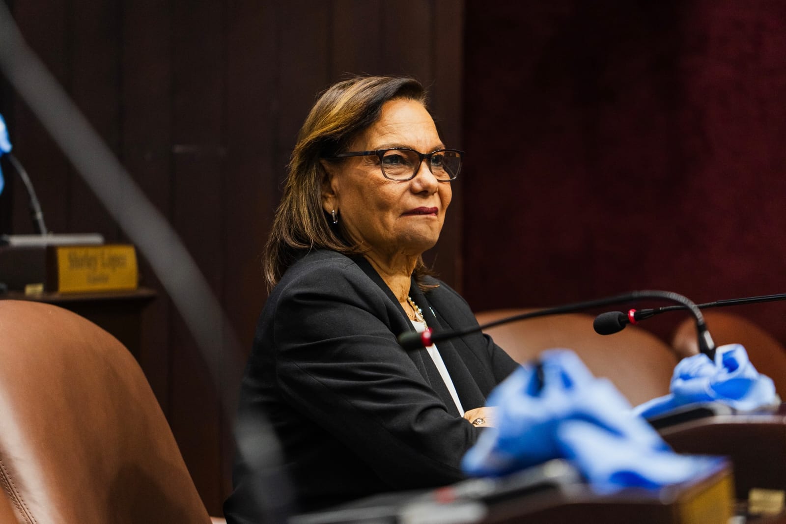 Diputada Carmen Leyda, respalda proyecto que declara a Peravia como provincia ecoturística