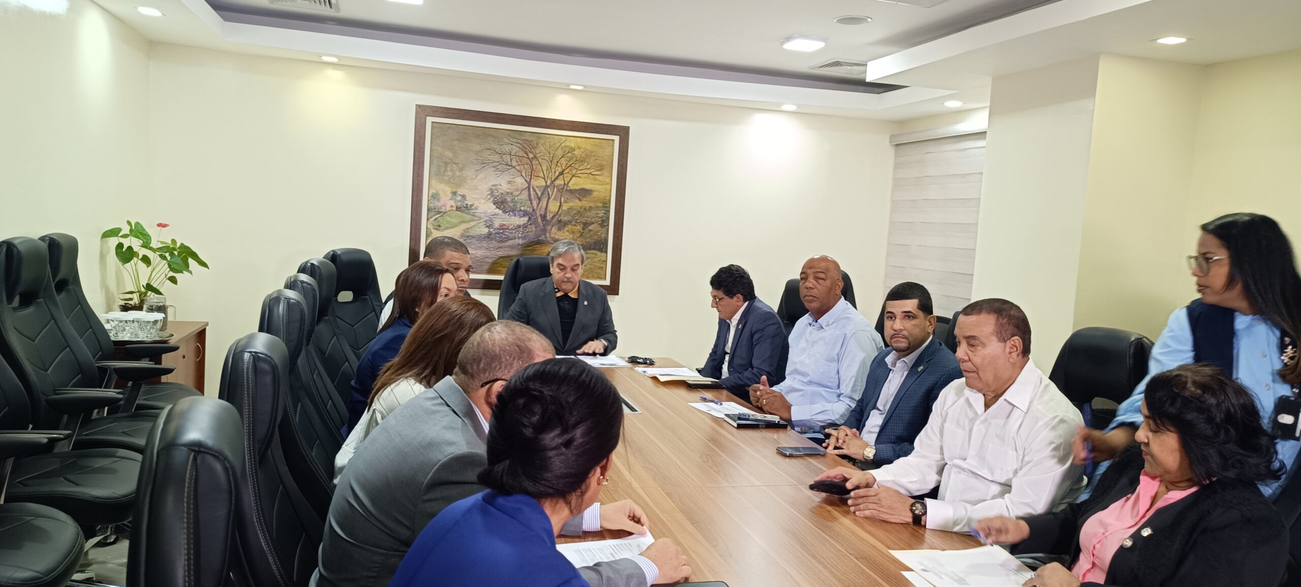 Comisión que estudia candidaturas independientes escuchará miembros JCE y partidos 