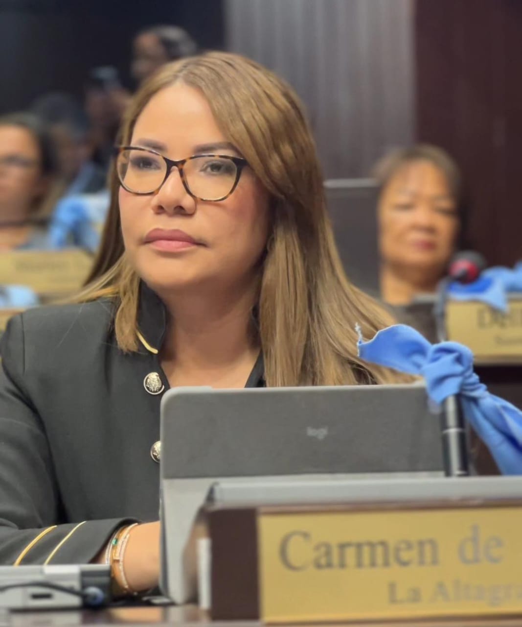 Diputada Carmen de la Rosa propone crear Colegio de Profesionales Farmacéuticos