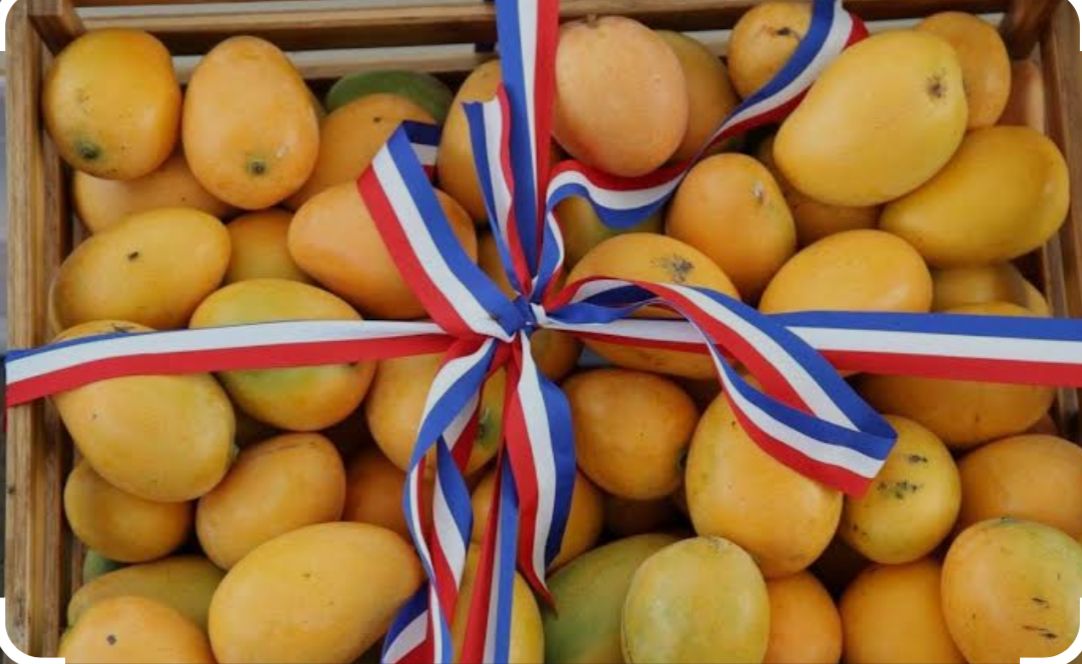 Baní ya es oficialmente la Capital del Mango: iniciativa del senador Julito Fulcar es aprobada