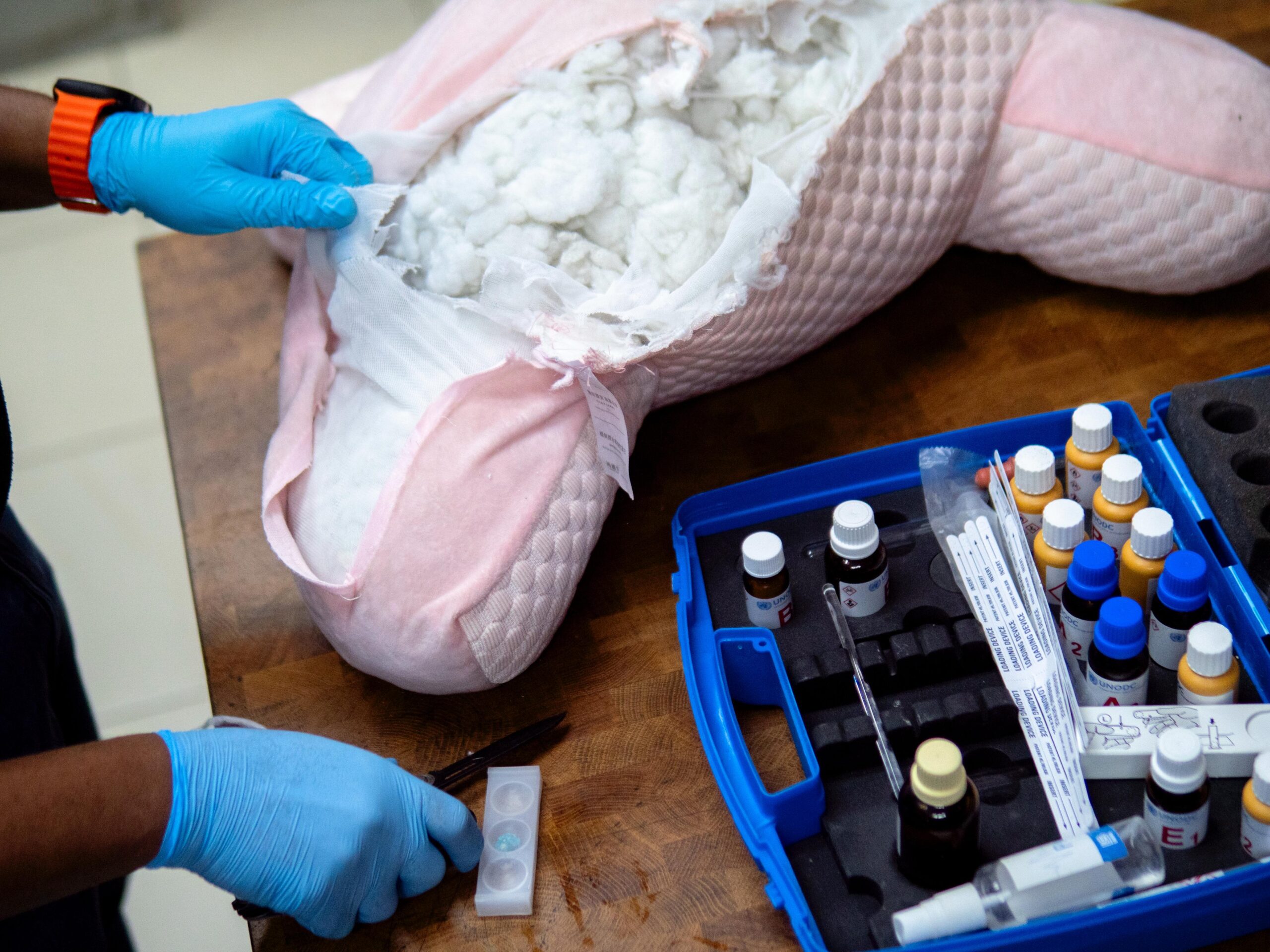 DNCD frustra envío a Australia de peluche lleno de fibras de cocaína DNCD frustra envío a Australia de peluche lleno de fibras de cocaína