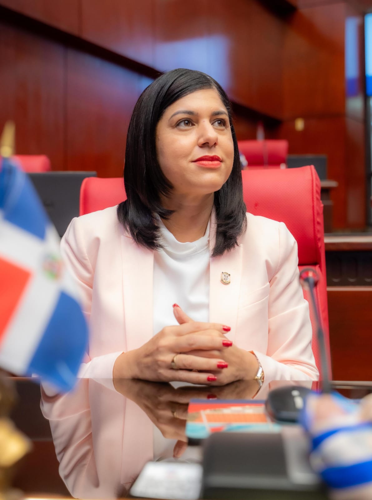 Senado convierte en ley la regulación de la sucesión a nivel municipal Senado convierte en ley la regulación de la sucesión a nivel municipal
