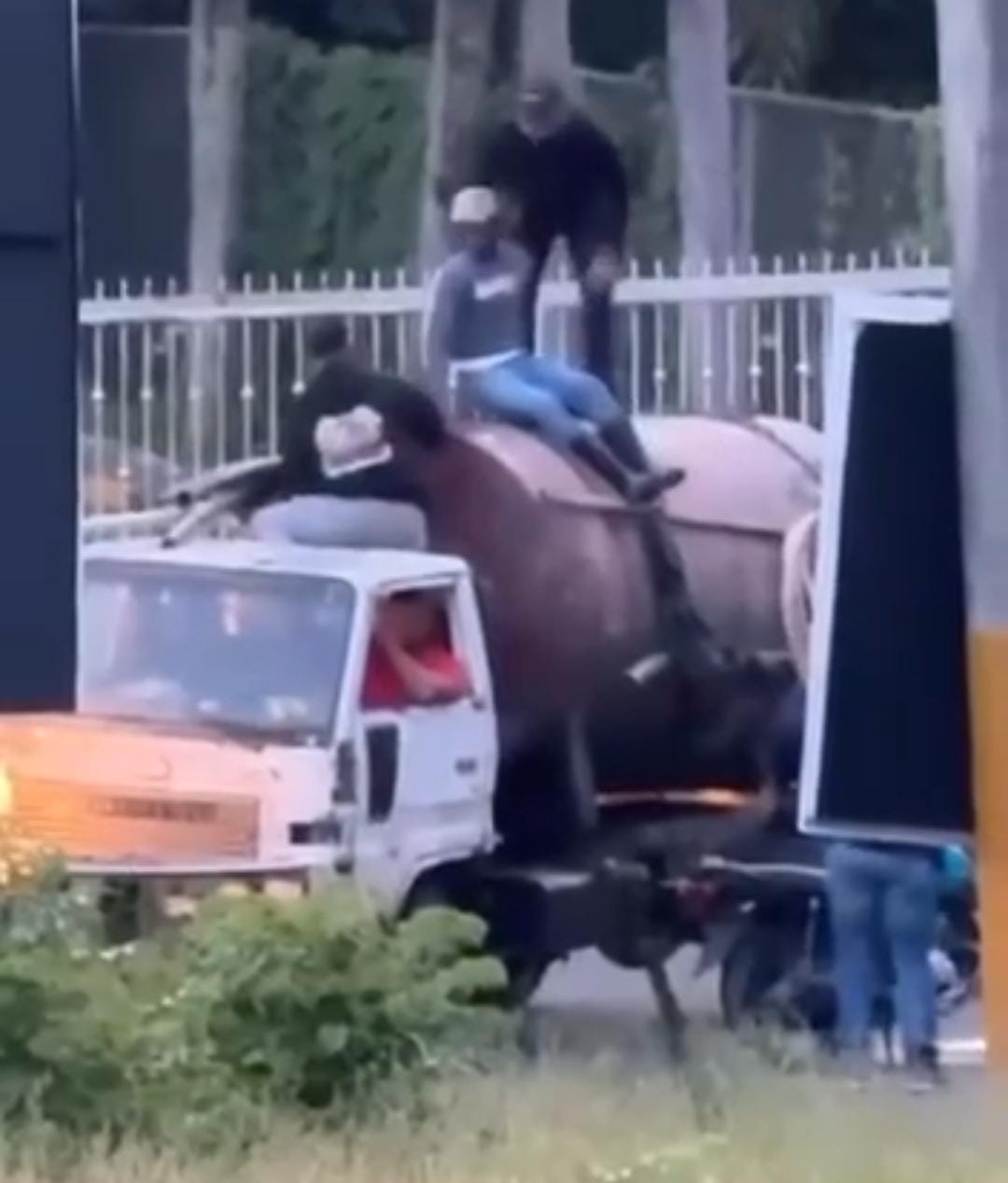 DGM detiene 12 inmigrantes haitianos indocumentados que eran trasladados en el tanque de un camión cisterna