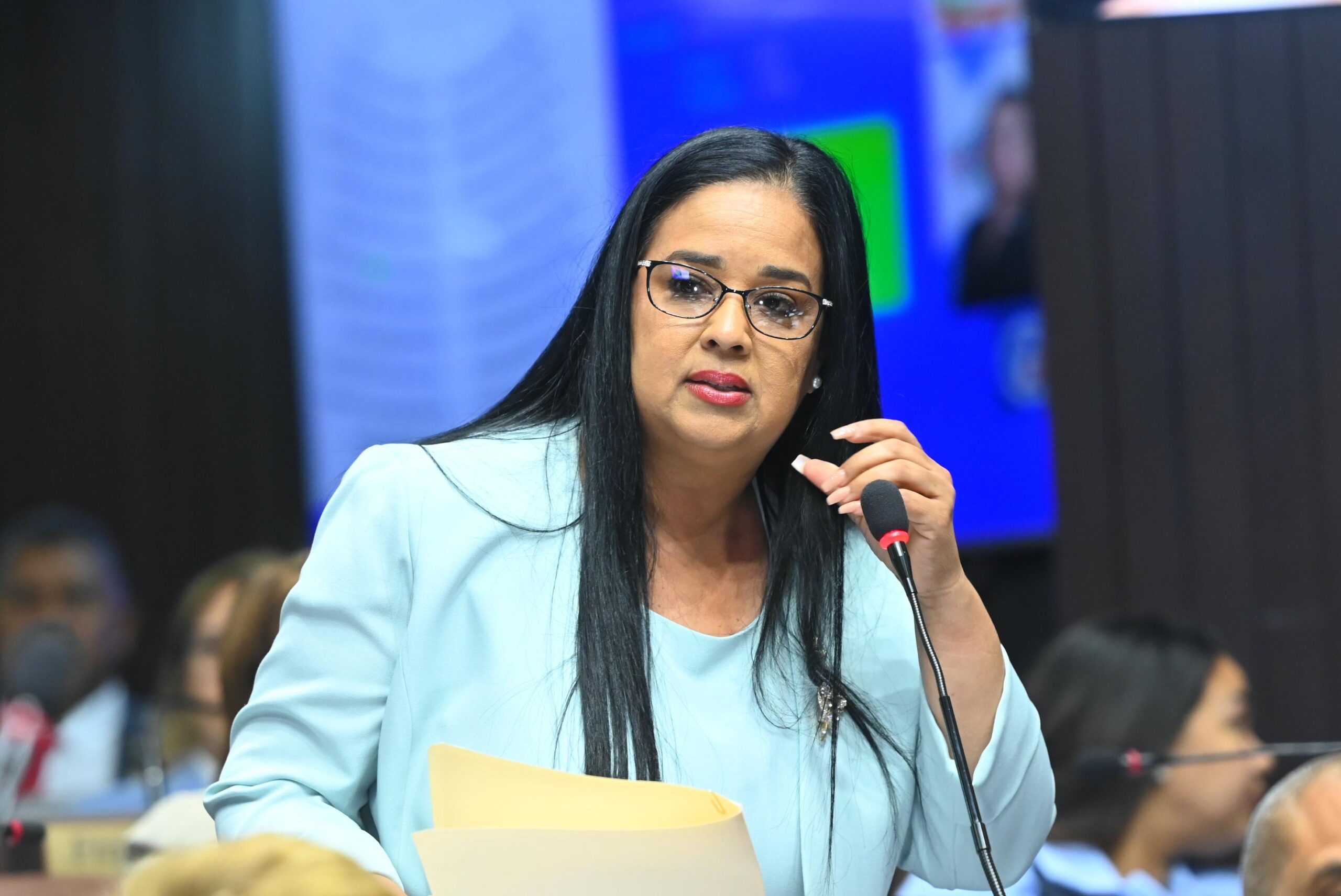 Diputada Caty Díaz destaca importancia de aprobar Código Penal