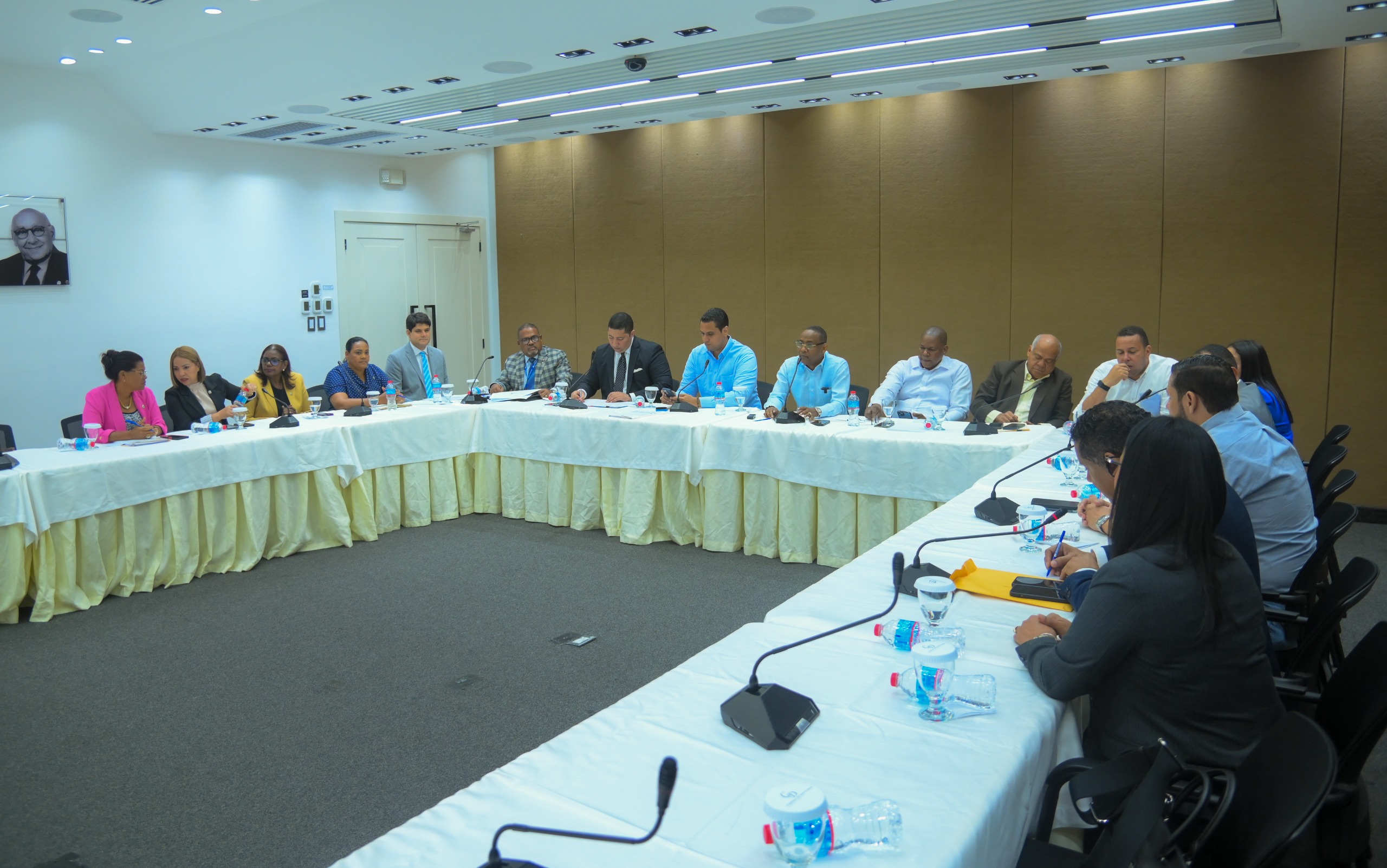Diputados evalúan creación del Ministerio de Seguridad Ciudadana con DNCD y Poder Ejecutivo