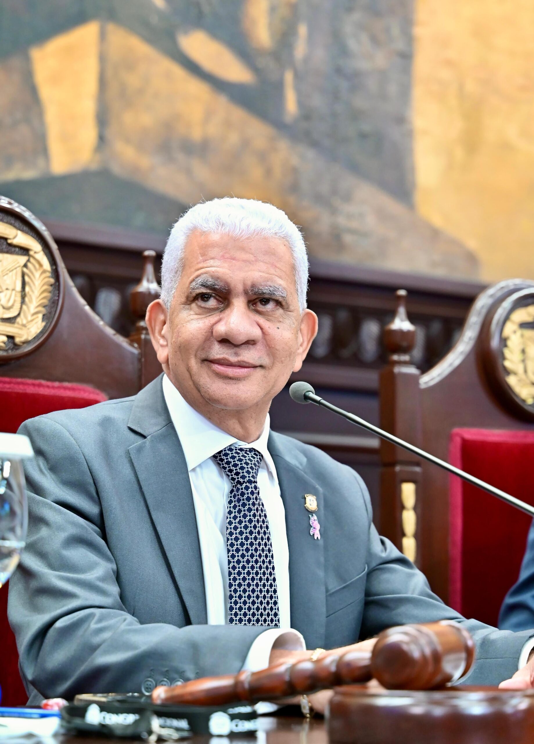 Presidente del Senado da la bienvenida a la nueva embajadora de los Estados Unidos en la República Dominicana Presidente del Senado da la bienvenida a la nueva embajadora de los Estados Unidos en la República Dominicana