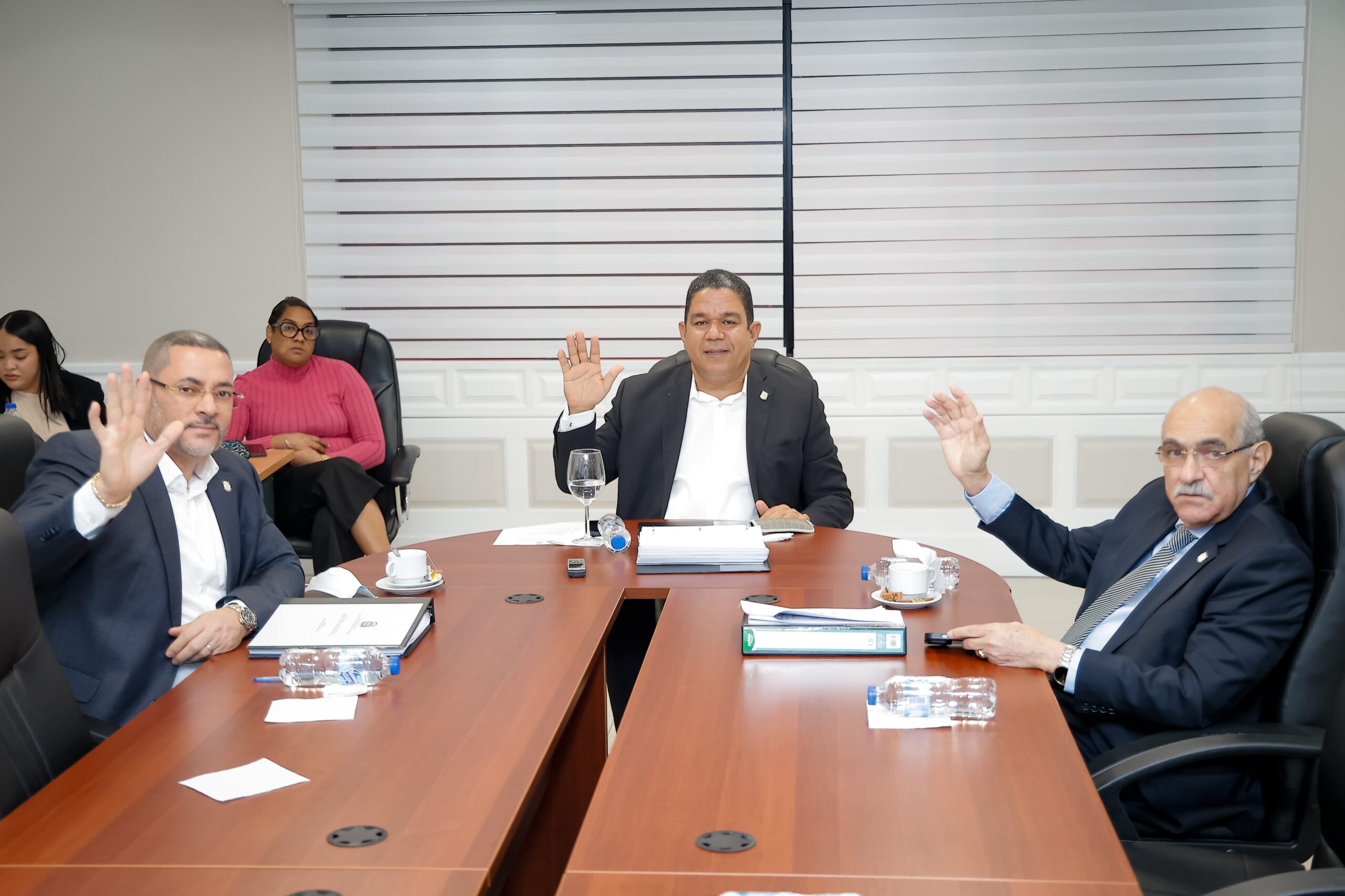 Comisión especial de Salud Mental del Senado escuchará  sectores vinculados a la psicología en torno a la reforma de la Ley de Salud Mental