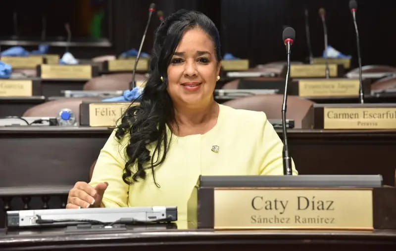 Fuerte reclamo de la diputada Caty Díaz en defensa de la cesantía