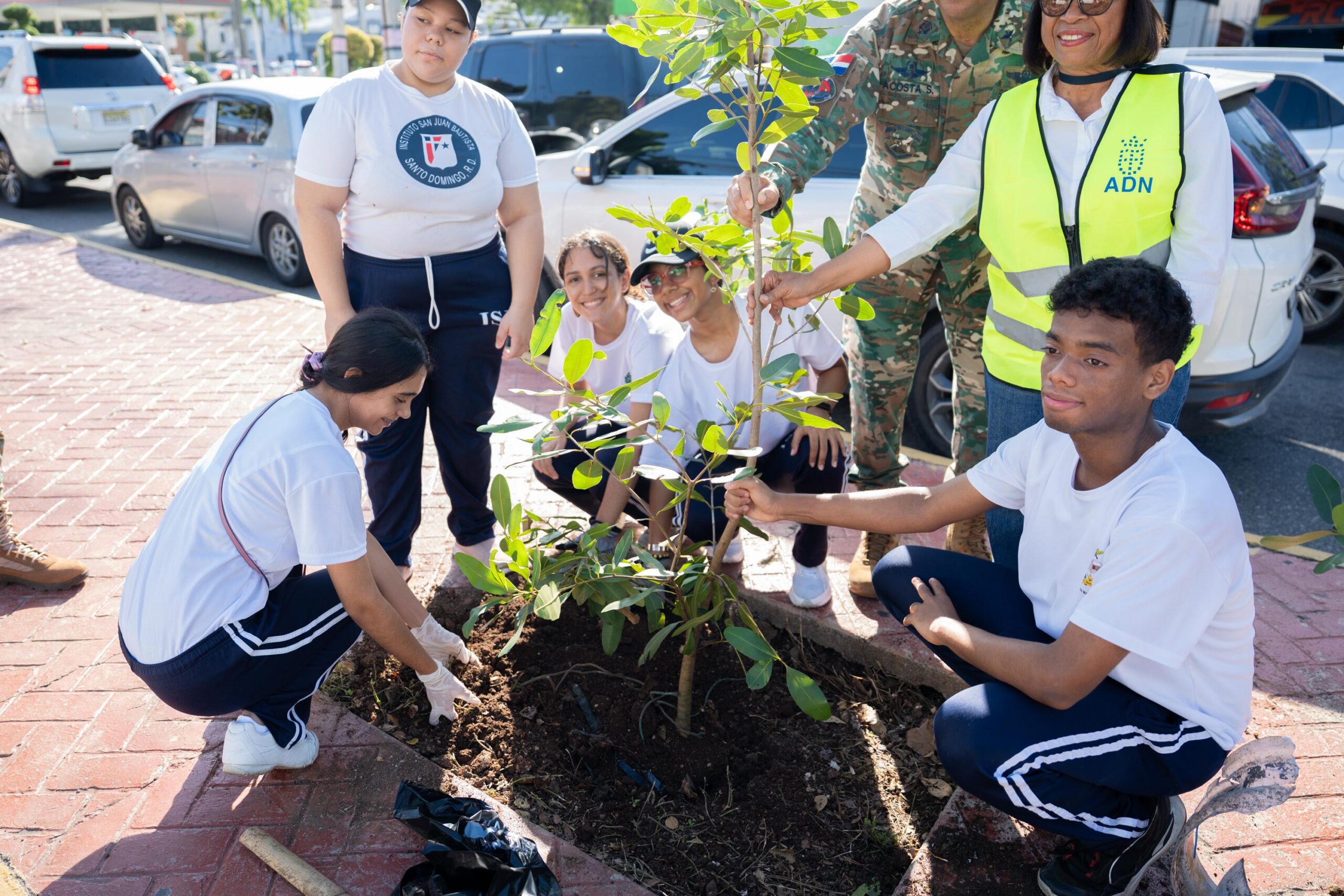 Alcaldía del DN continúa Plan de Arbolado Urbano con plantación de 150 árboles en la Rómulo Betancourt