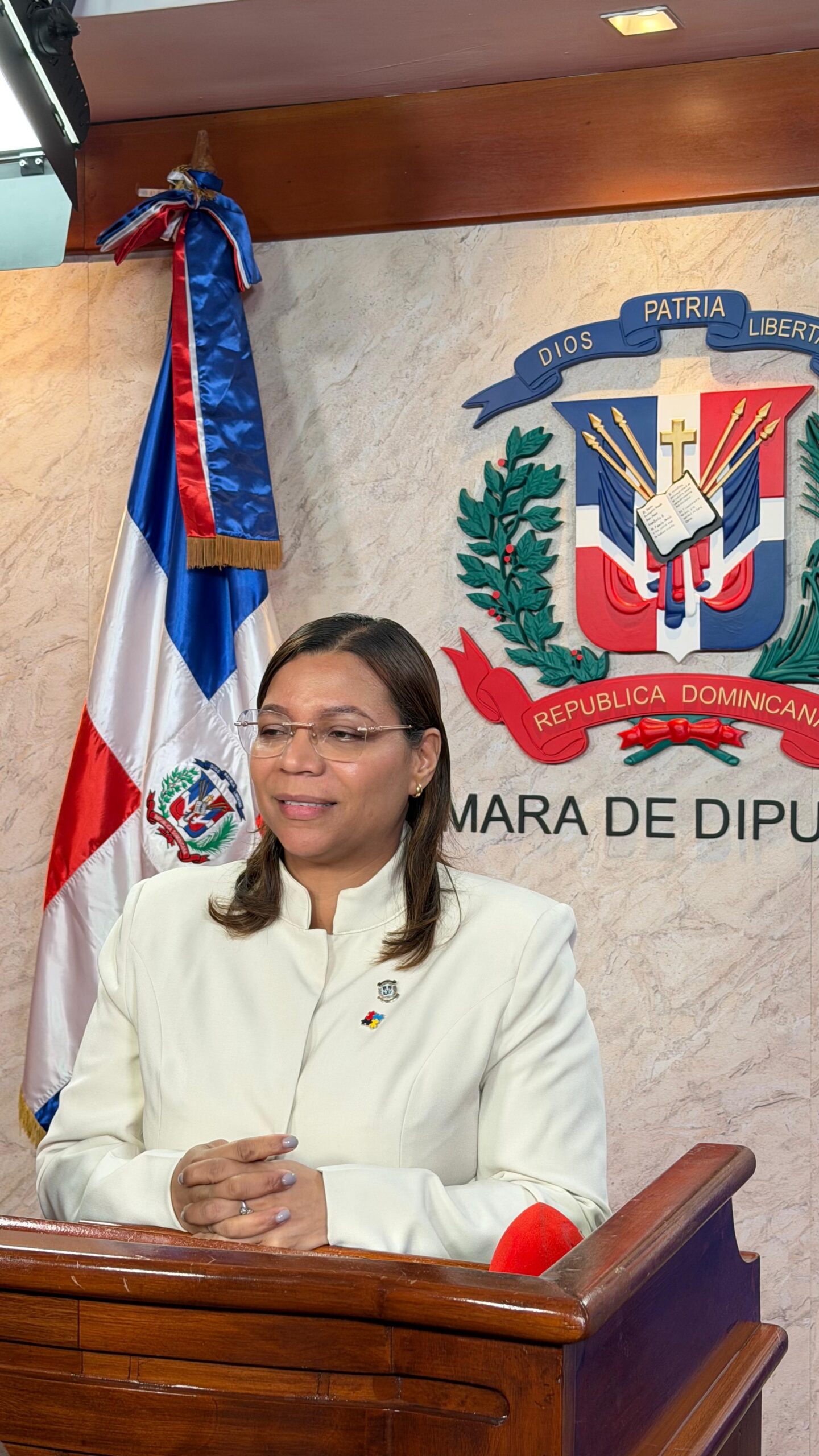 Mesa de Discapacidad e Inclusión somete resolución para impulsar deporte inclusivo y crear el Segundo Directorio Nacional para Personas con Discapacidad