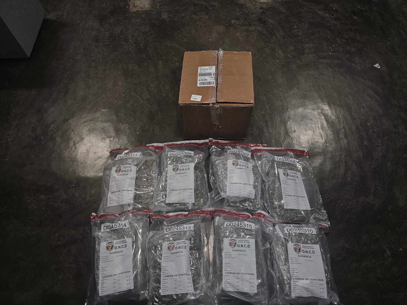 DNCD confisca otros 15 paquetes de presunta marihuana en el AILA