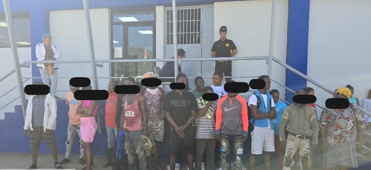 Migración recibe del SENPA 378 haitianos apresados cometiendo delitos medioambientales Migración recibe del SENPA 378 haitianos apresados cometiendo delitos medioambientales