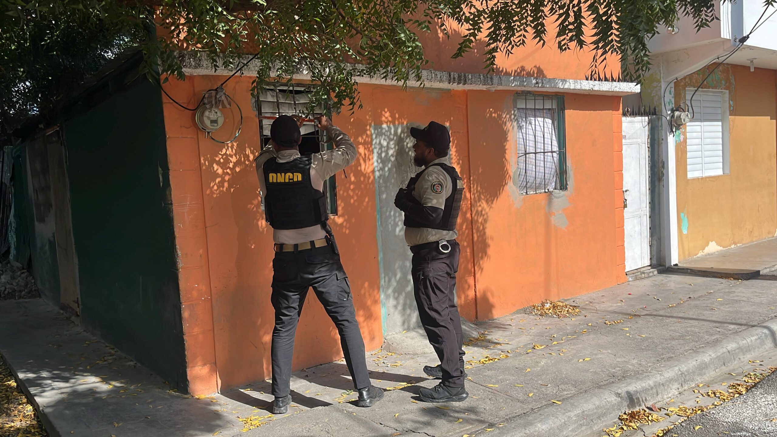 DNCD ocupa más de medio millón de gramos y 15 armas de fuego en operativos
