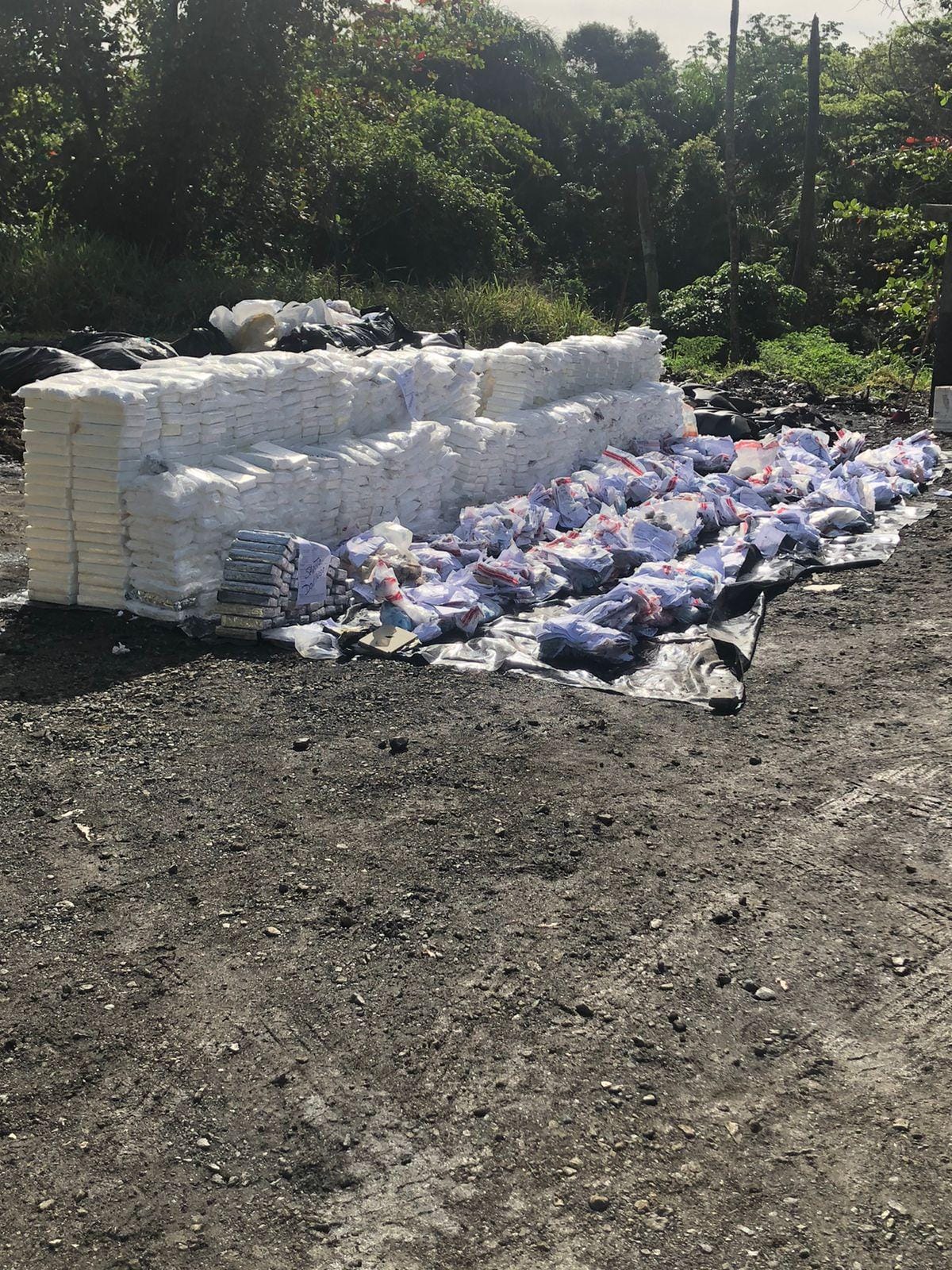 El Inacif quema más de 2 toneladas de drogas, incautadas en Peravia y otras demarcaciones