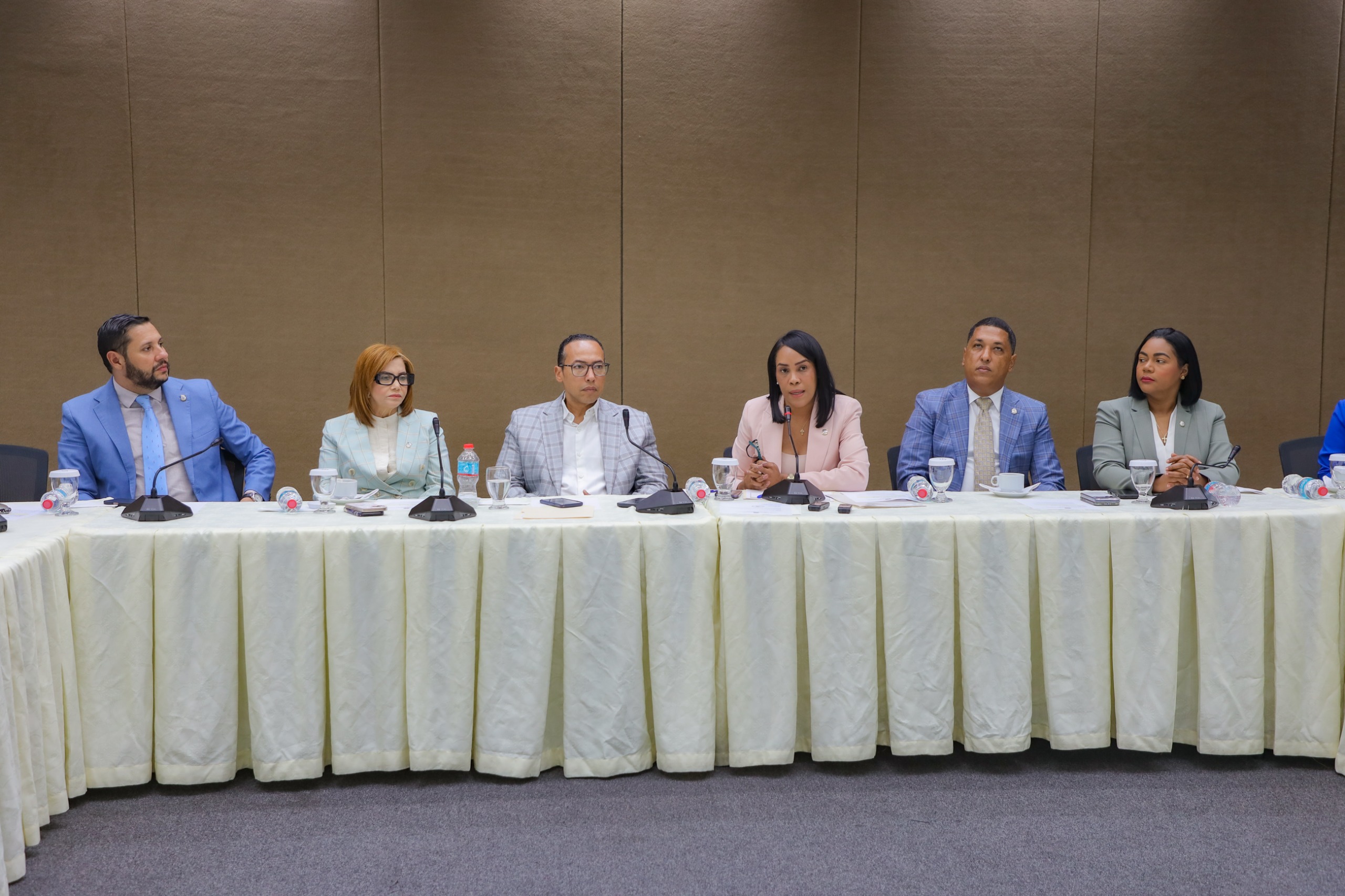 Comisión de Dominicanos en el Exterior de la CD destaca innovaciones del pasaporte biométrico dominicano