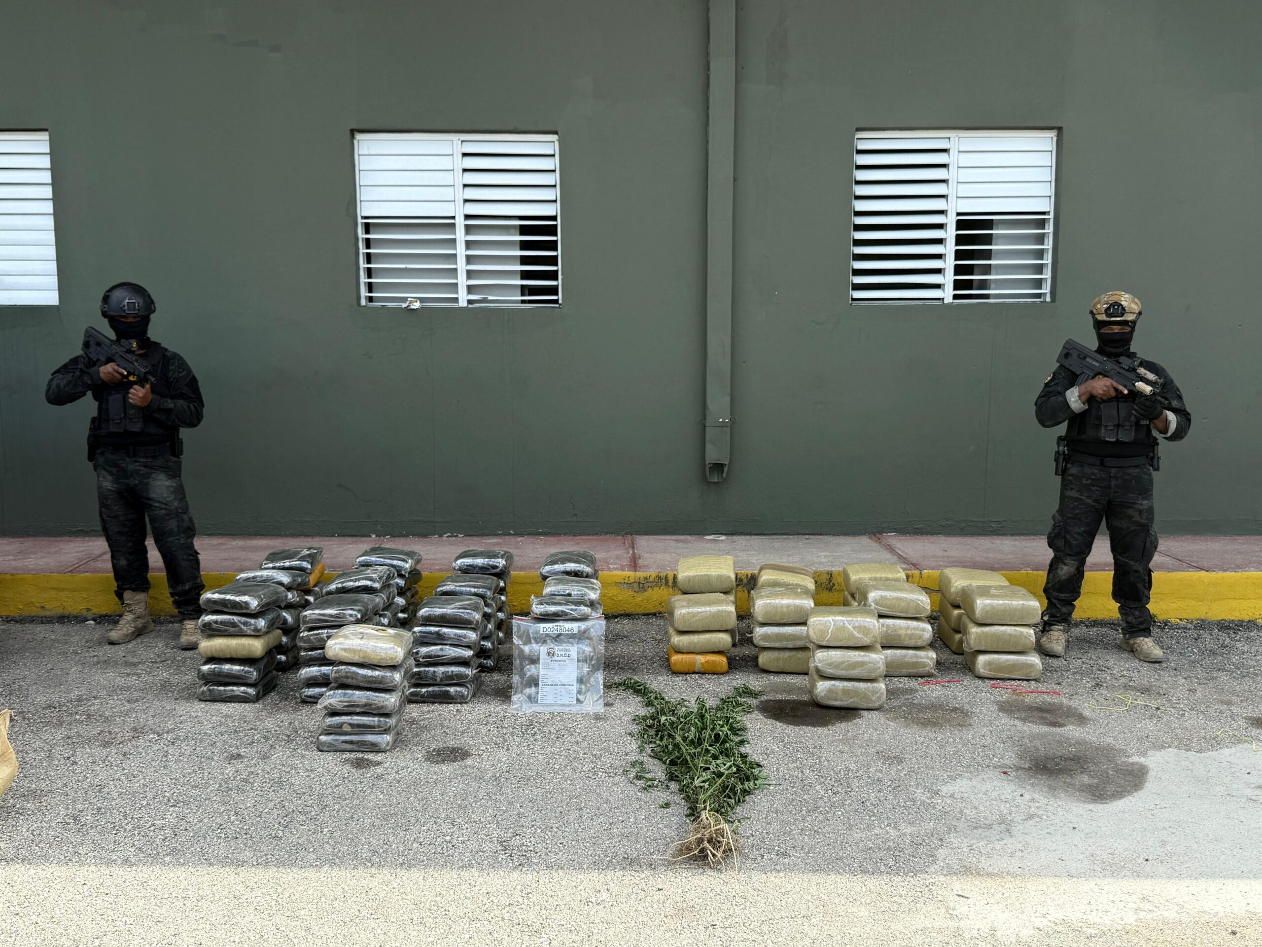 Autoridades ocupan más de 600 libras de presunta marihuana en allanamientos Autoridades ocupan más de 600 libras de presunta marihuana en allanamientos