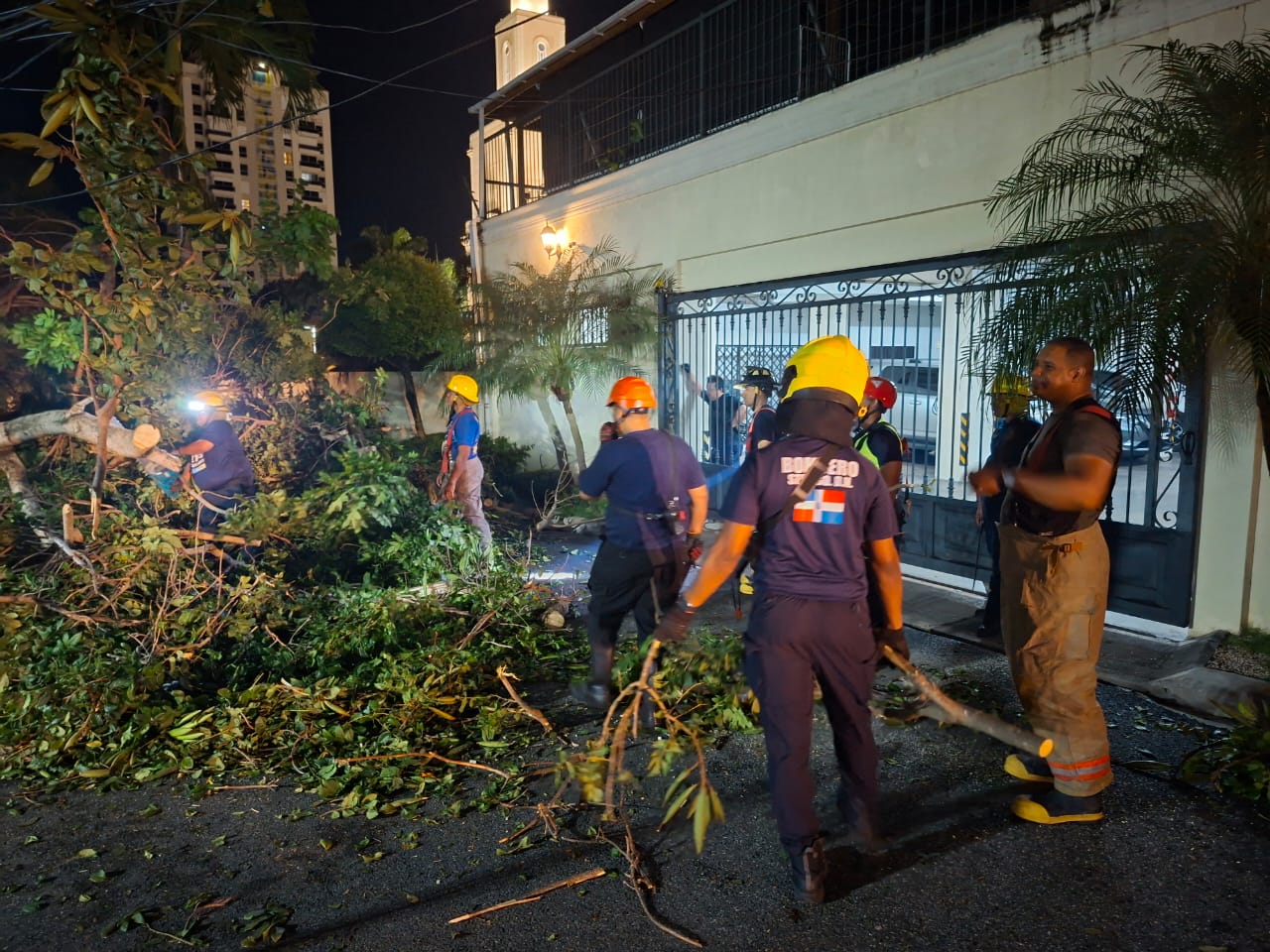 Bomberos y Alcaldía del Distrito Nacional retiran árboles caídos tras fuertes vientos