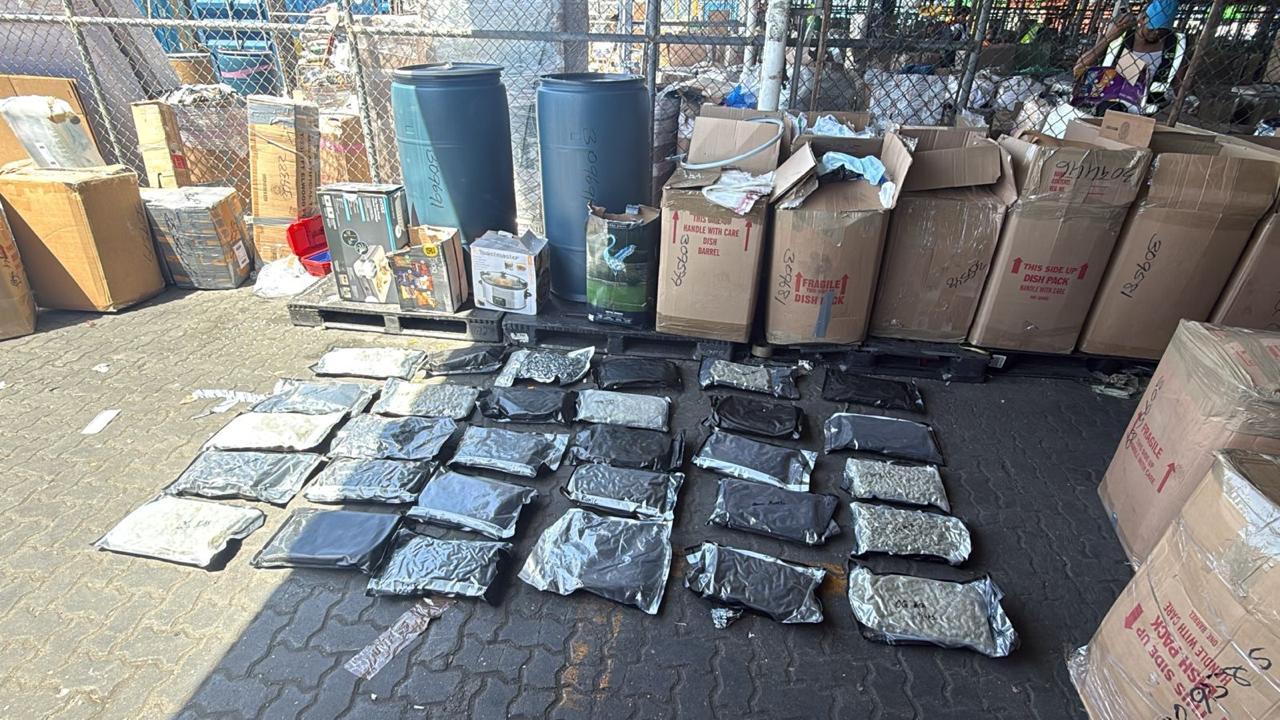 Autoridades intervienen 133 paquetes de marihuana en Puerto de Haina Oriental