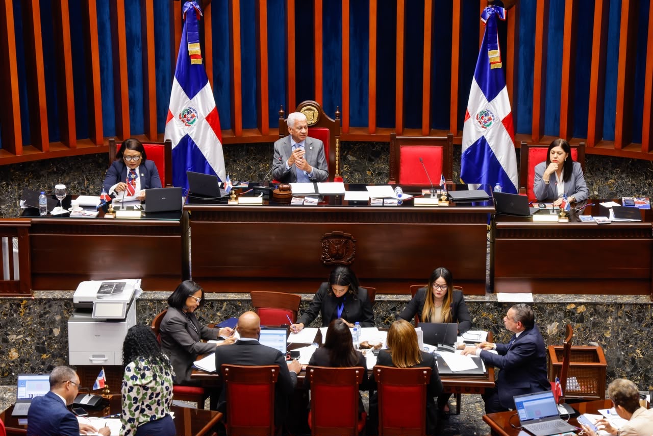Senado aprueba en segunda lectura ley que crea el Instituto Nacional de Custodia a favor de las mujeres victimas de violencia de genero Senado aprueba en segunda lectura ley que crea el Instituto Nacional de Custodia a favor de las mujeres victimas de violencia de genero