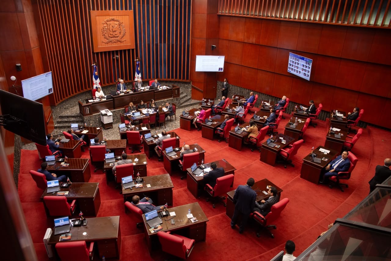 En maratónica sesión, el Senado aprueba en primera lectura reformas a Ley Orgánica de la Policía Nacional