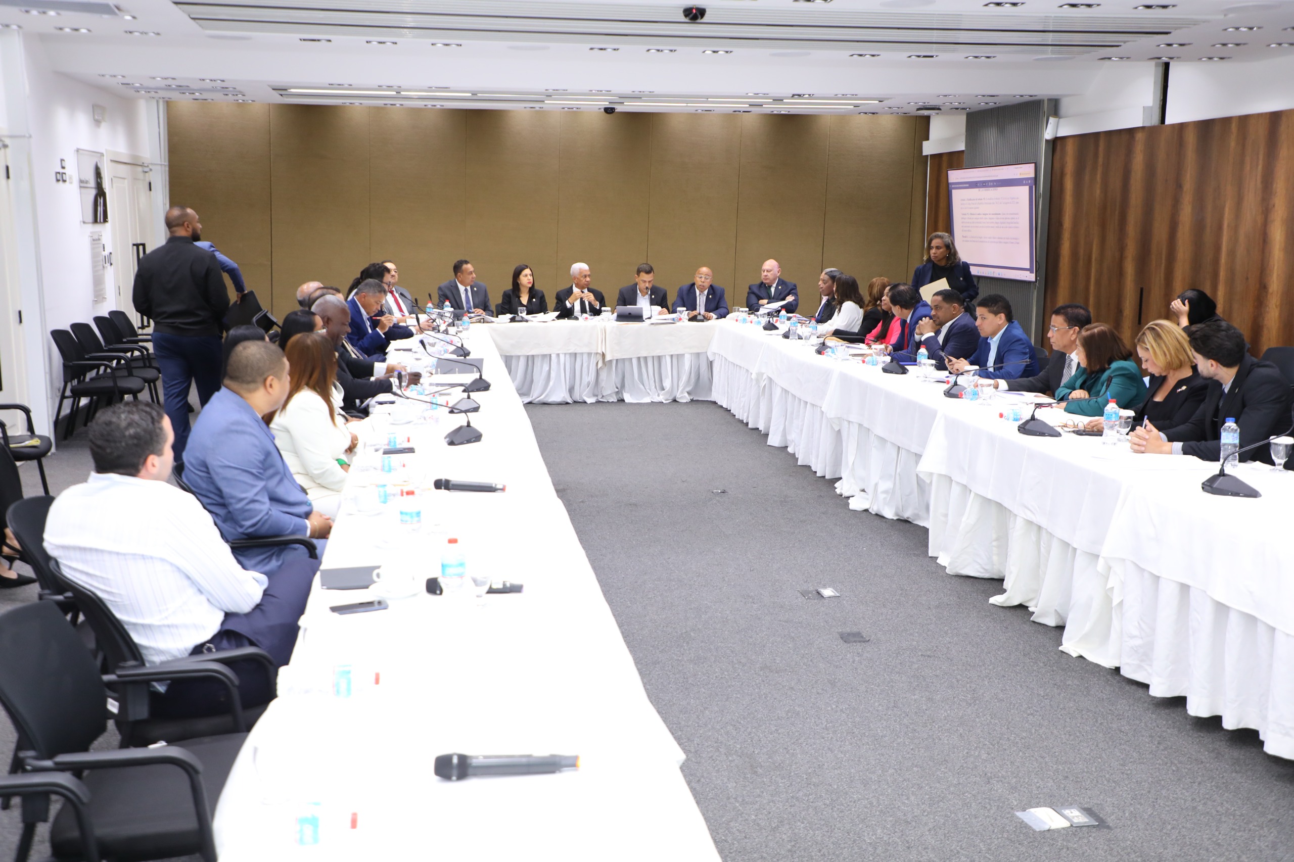 Comisión Bicameral estudia nuevo Código Penal analizó casi la totalidad de artículos que requieren modificaciones