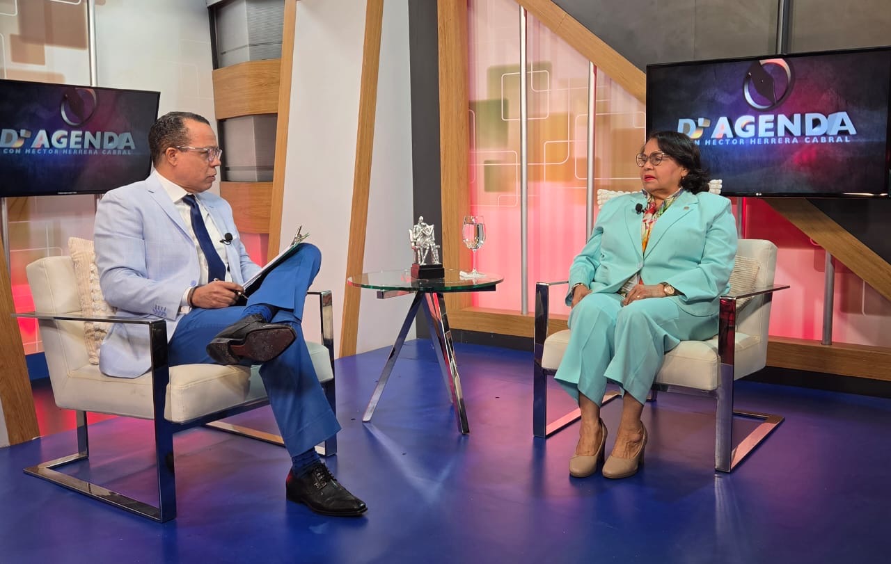 Presidenta Cámara de Cuentas revela: «Investigación Especial sobre Senasa ya fue entregada al ente auditado»