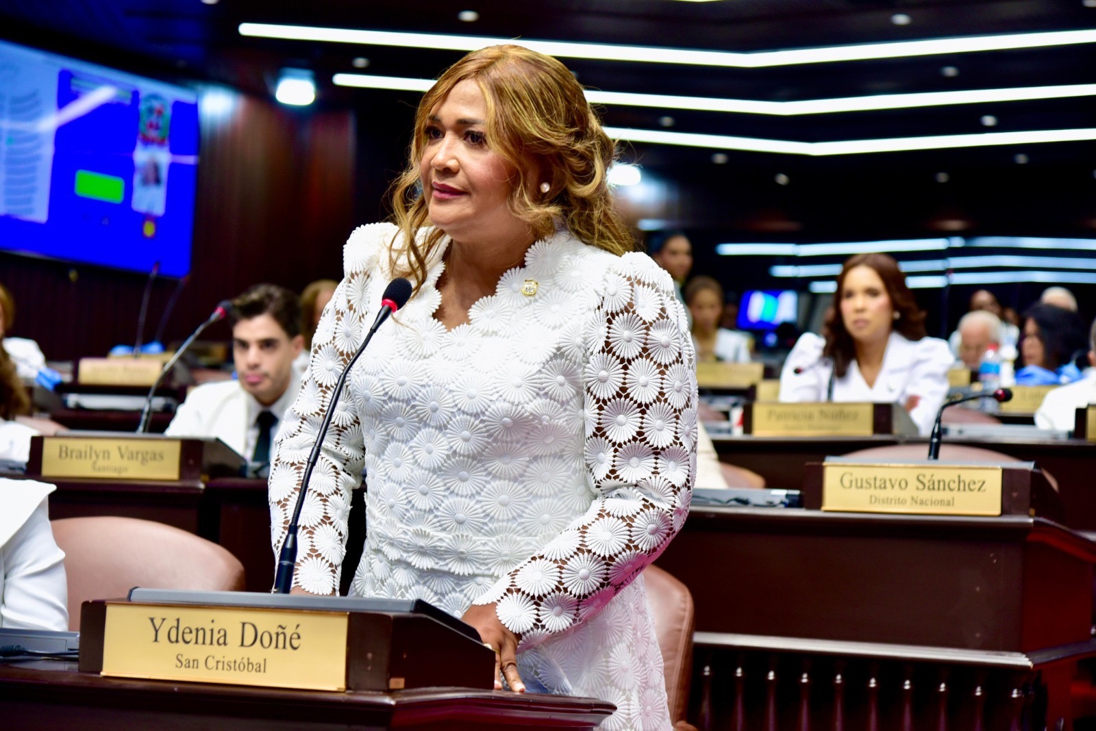 Ydenia Doñé asegura hay que pasar de las palabras a los hechos con la ley de Seguridad Social