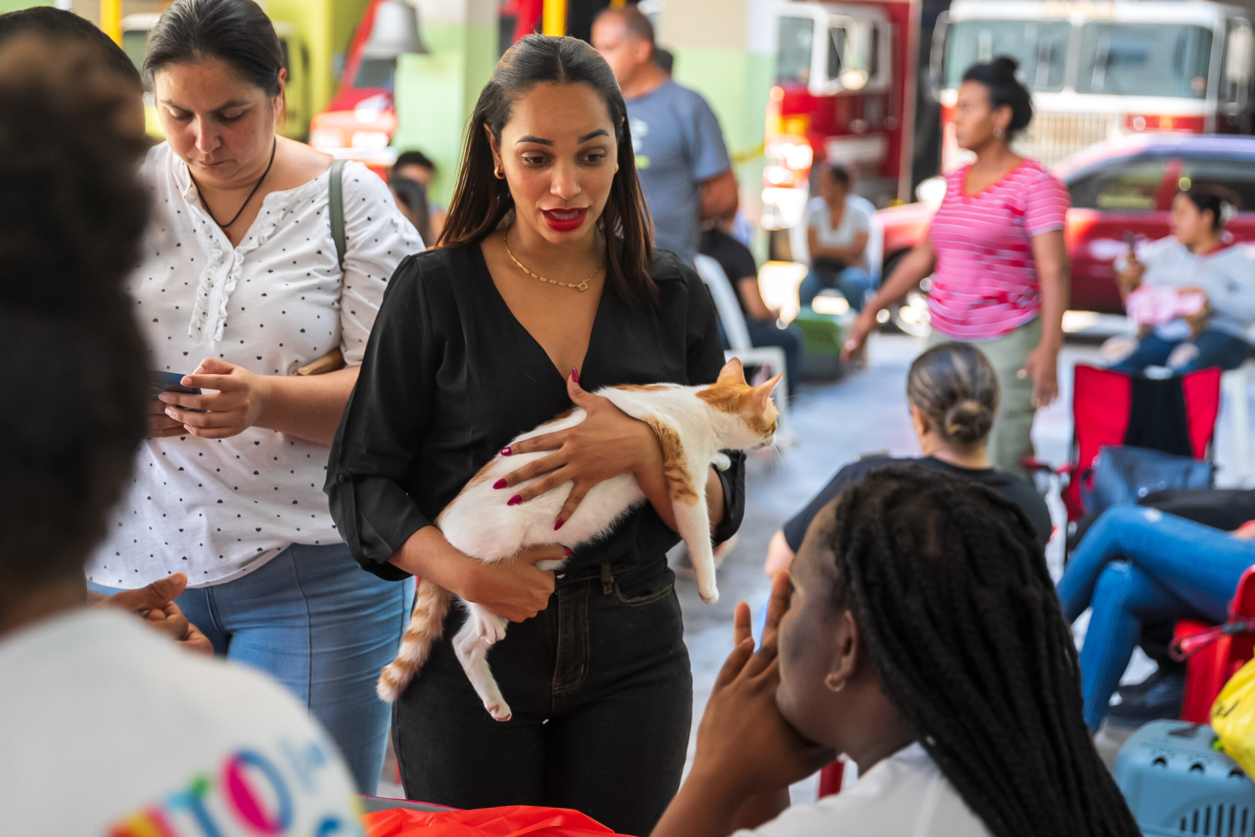 Alcaldía del DN esteriliza 102 animales y coloca 530 vacunas en jornada de este fin de semana