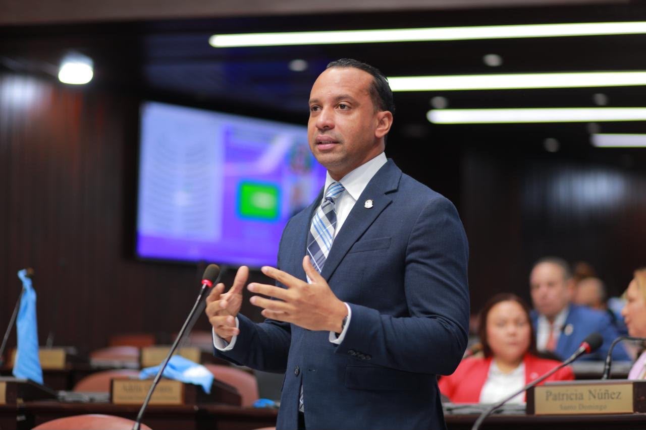 Bloque de diputados PLD demanda auditoria técnica para cada distribuidora de electricidad