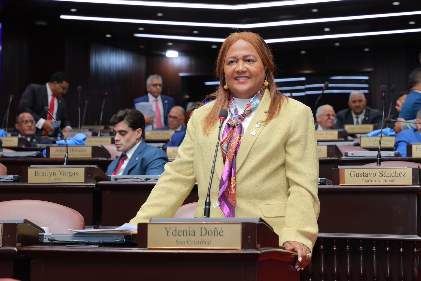 Diputados del PLD proponen interpelar al director del SNS por muertes de niños en Maternidad La Altagracia